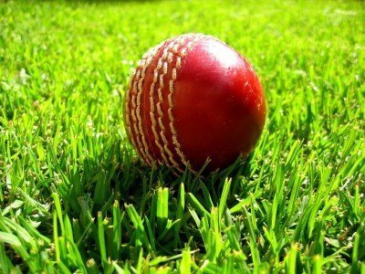 Cricket_ball_on_grass